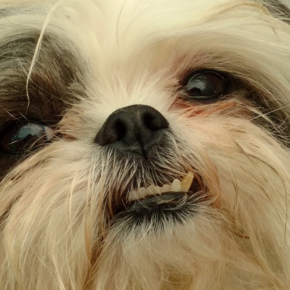 Meet your Posher, Jana - Picture 2 of 4